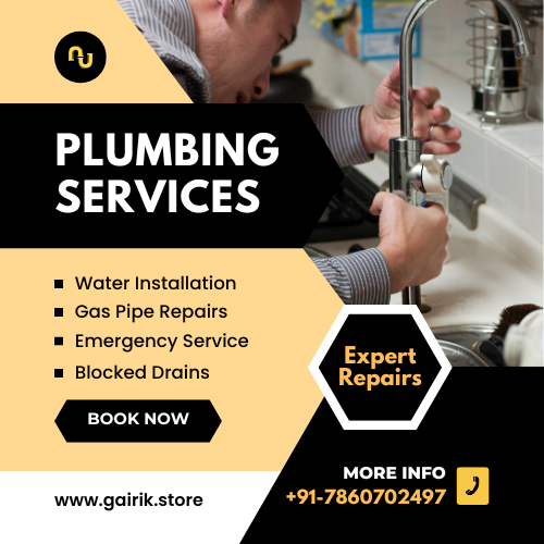 Professional Plumbing Services